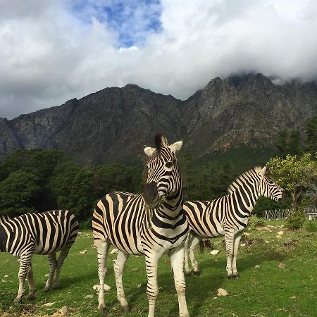 Franschhoek Country Cottages Luaran gambar