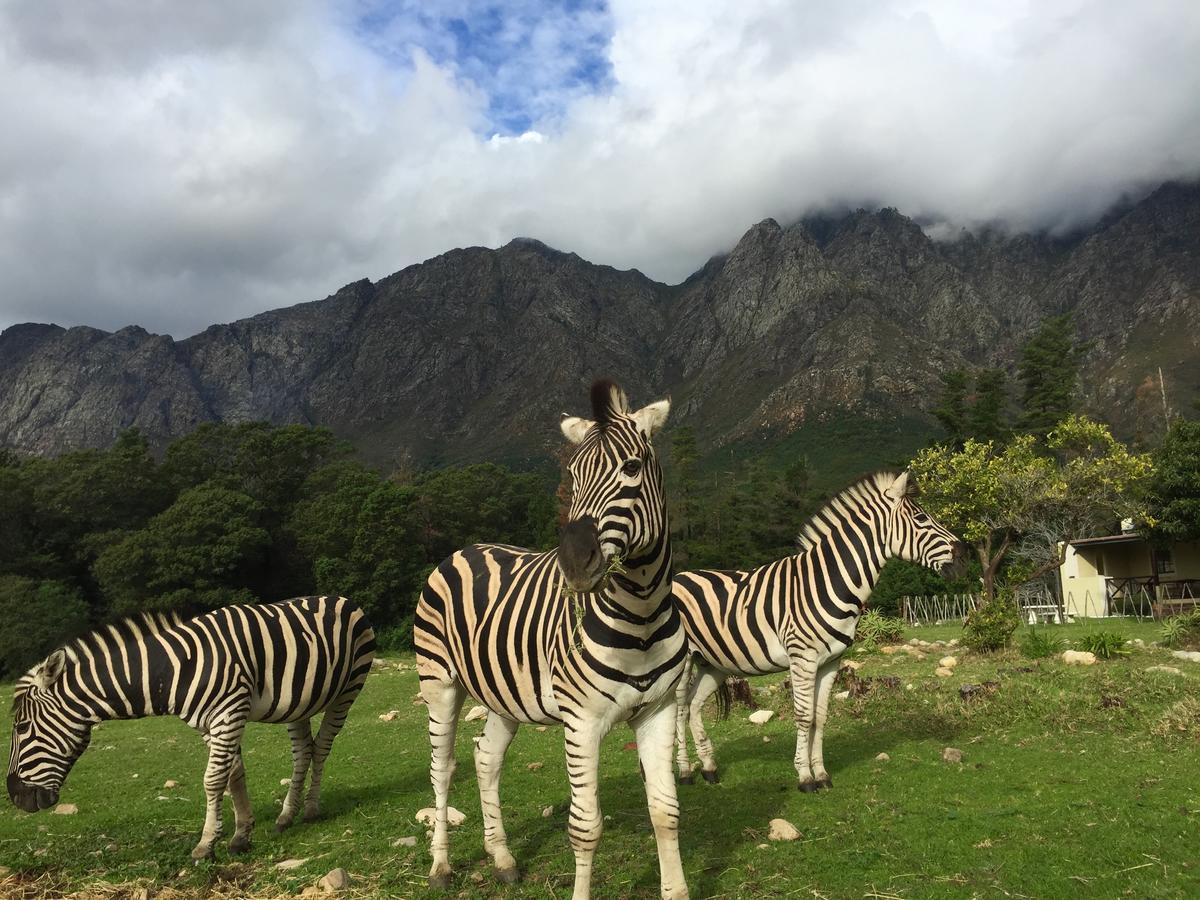 Franschhoek Country Cottages Luaran gambar