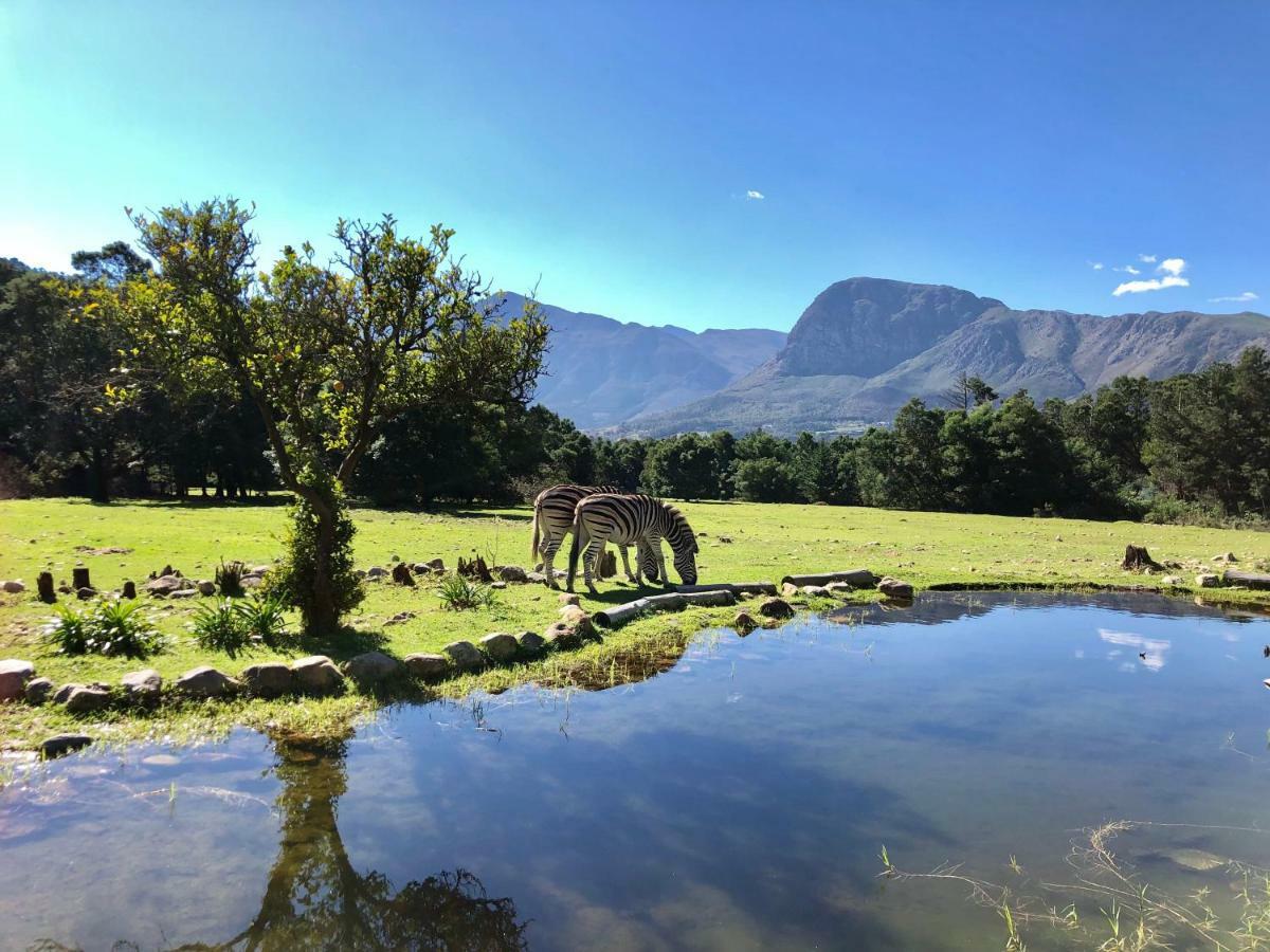 Franschhoek Country Cottages Luaran gambar